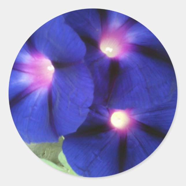 Pegatina de redondeo floral (Anverso)