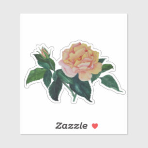 Pegatina de regalo de rosa de la paz de acuarela f