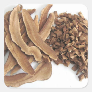 Pegatina de Reishi Mushroom