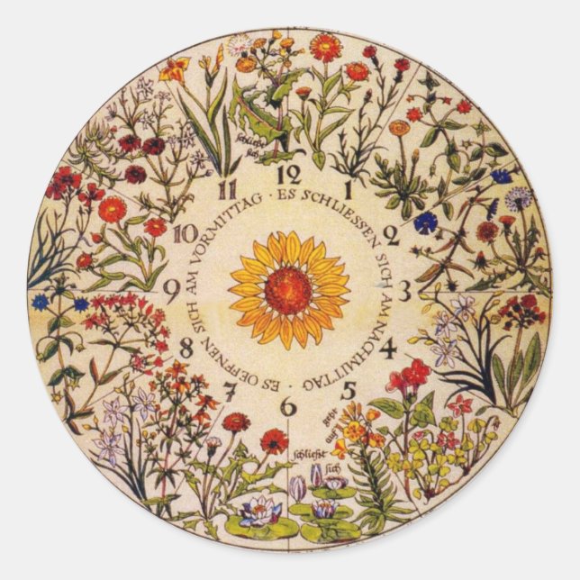 Pegatina de reloj de flores Blumenuhr (Anverso)
