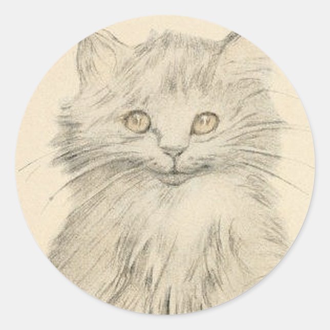 Pegatina de retrato de gato de dibujos de lápiz de (Anverso)