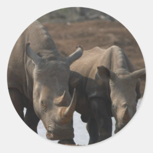 Pegatina de rinocerontes negros