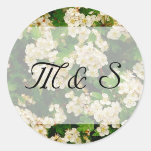 Pegatina de Ronda de Blossom de Hawthron