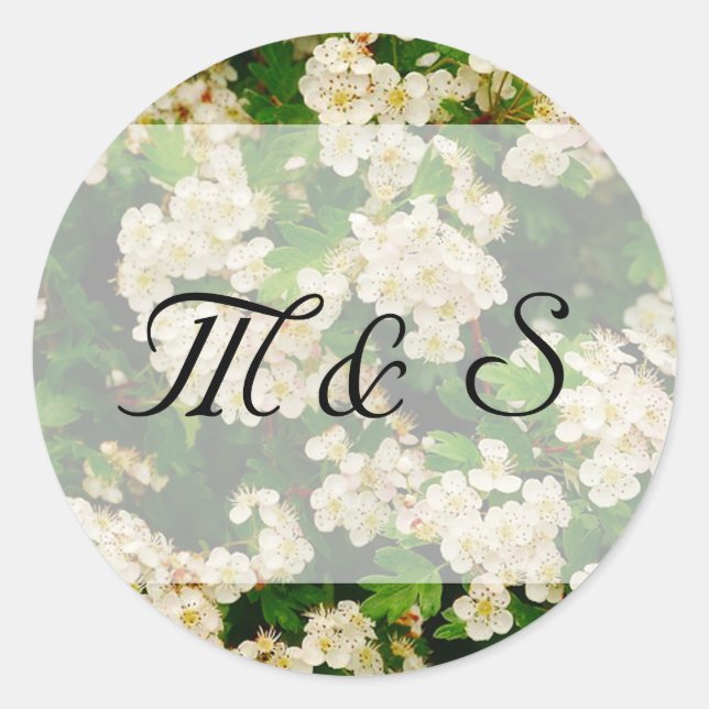 Pegatina de Ronda de Blossom de Hawthron (Anverso)