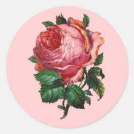 Pegatina de Rosa antiguo