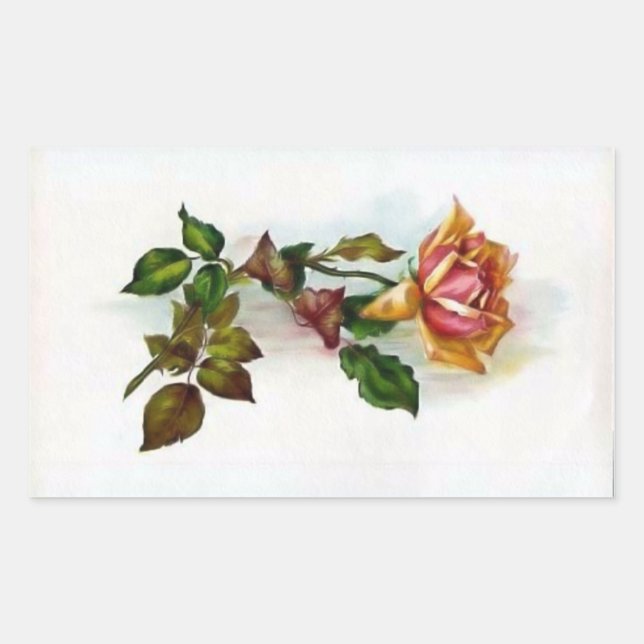 Pegatina de Rosa de época (Anverso)