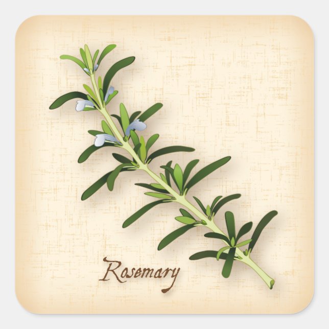 Pegatina de Rosemary Herb Square (Anverso)