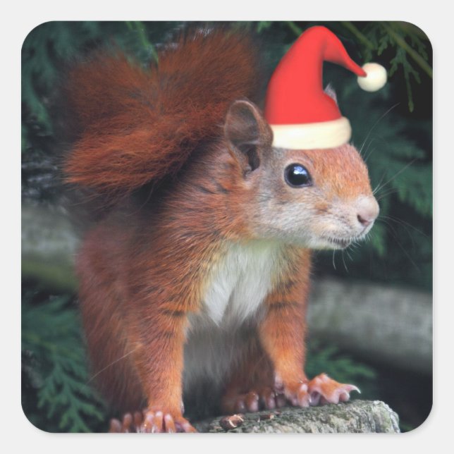 Pegatina de Santa Claws (Anverso)