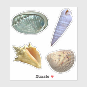 Pegatina de Seashells