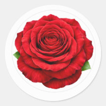 Pegatina de Sello de Sobre Redondo de Rosa Roja Pr