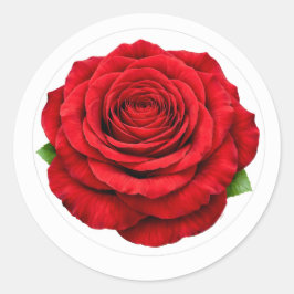 Pegatina de Sello de Sobre Redondo de Rosa Roja Pr