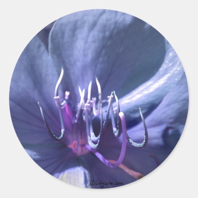 Pegatina de Sello para sobres de Boda violeta azul (Anverso)