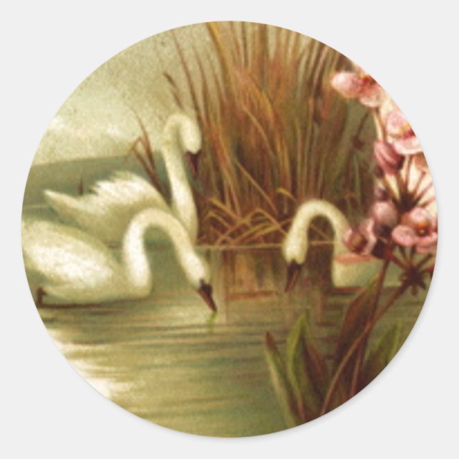 Pegatina de Sello para sobres de cisnes de época (Anverso)