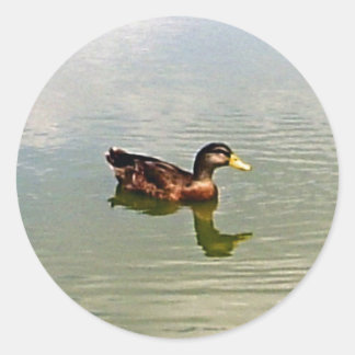 Pegatina de Sello para sobres de pato
