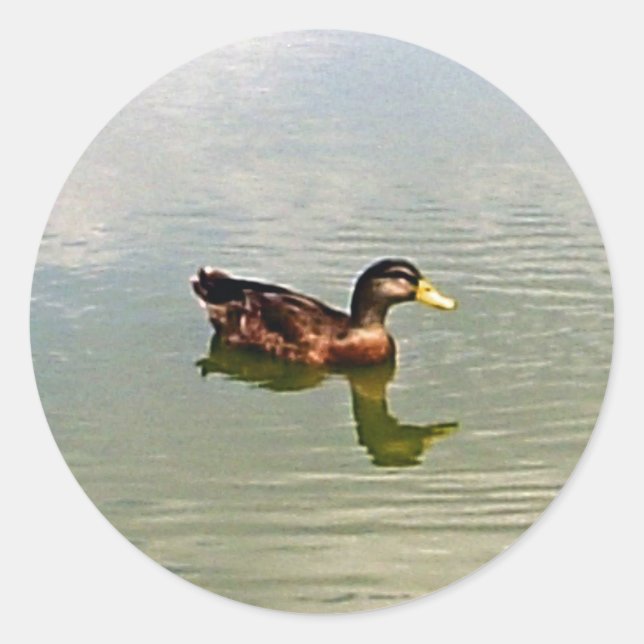 Pegatina de Sello para sobres de pato (Anverso)
