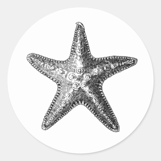 pegatina DE SELLO PARA SOBRES DE SEALIFE "STARFISH (Anverso)