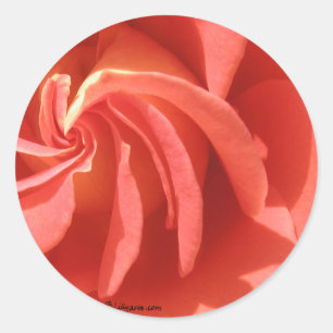 Pegatina de Sello para sobres de Swirl Rosa