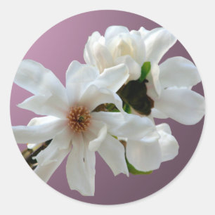 Pegatina de Sello para sobres Magnolia Stellata