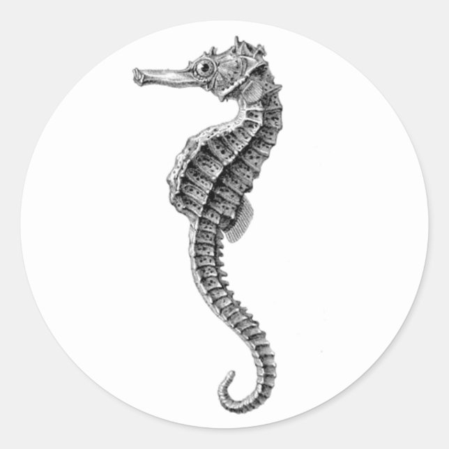 pegatina de SELLO PARA SOBRES SEAHORSE SEALIFE (Anverso)