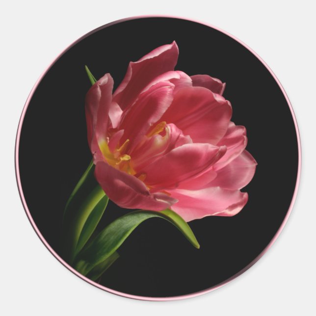 Pegatina de Sello para sobres Tulip de doble Bloom (Anverso)
