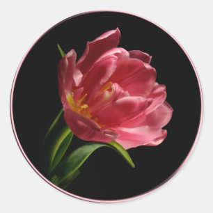 Pegatina de Sello para sobres Tulip de doble Bloom
