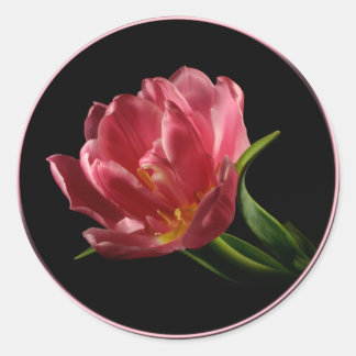 Pegatina de Sello para sobres Tulip de doble Bloom