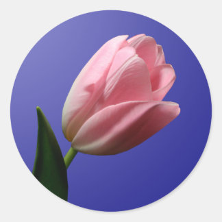 Pegatina de Sello para sobres Tulip de primavera