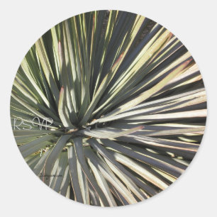 Pegatina de sellos de Boda de Yucca Radial RSVP
