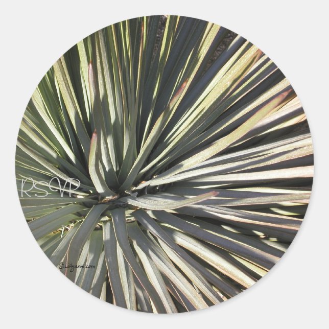 Pegatina de sellos de Boda de Yucca Radial RSVP (Anverso)