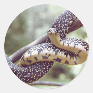 Pegatina de serpiente del rey abatido