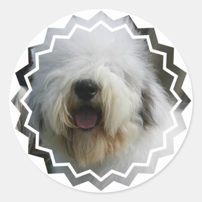 Pegatina de Sheepdog (Anverso)