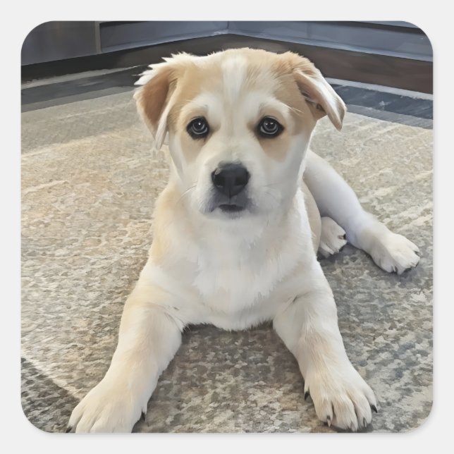 Pegatina De Sobrecarga De Cutenes (Anverso)