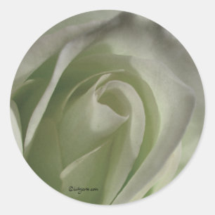 Pegatina de sobres Rosa gris plateado