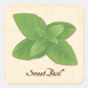 Pegatina de Sweet Basil Square