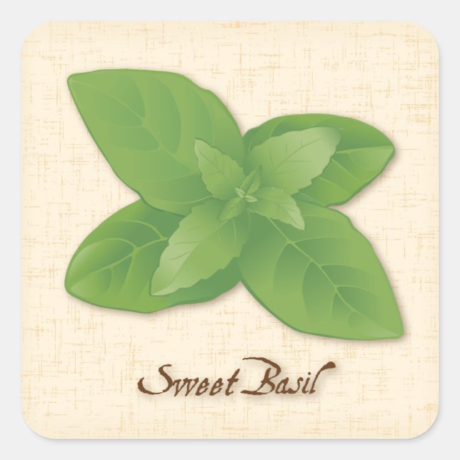 Pegatina de Sweet Basil Square (Anverso)
