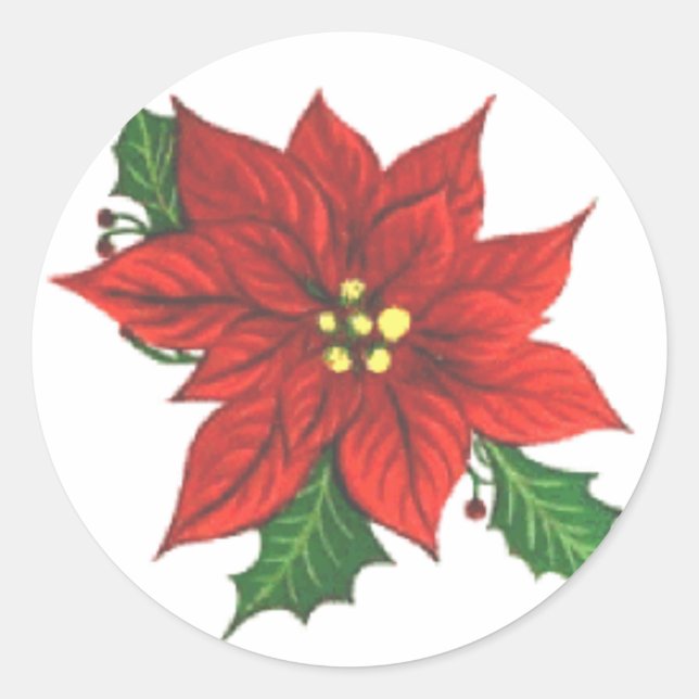 Pegatina de tarjetas de felicitación de Poinsettia (Anverso)