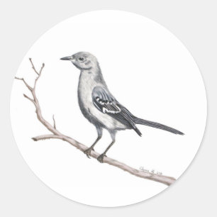 Pegatina de Texas Mockingbird