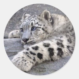 Pegatina de todos los repartidos