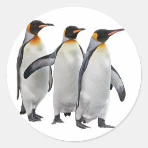 Pegatina de Tres Reyes