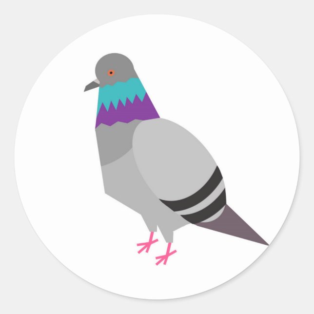 pegatina de vector de pichón (Anverso)
