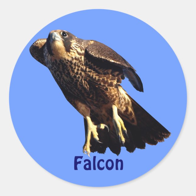 Pegatina de vida silvestre del Falcon Raptor Birdl (Anverso)