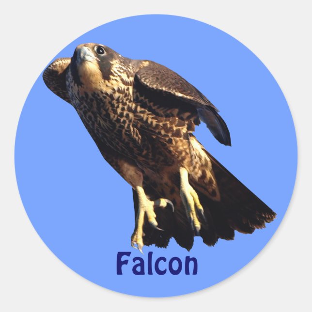 Pegatina de vida silvestre del Falcon Raptor Birdl (Anverso)