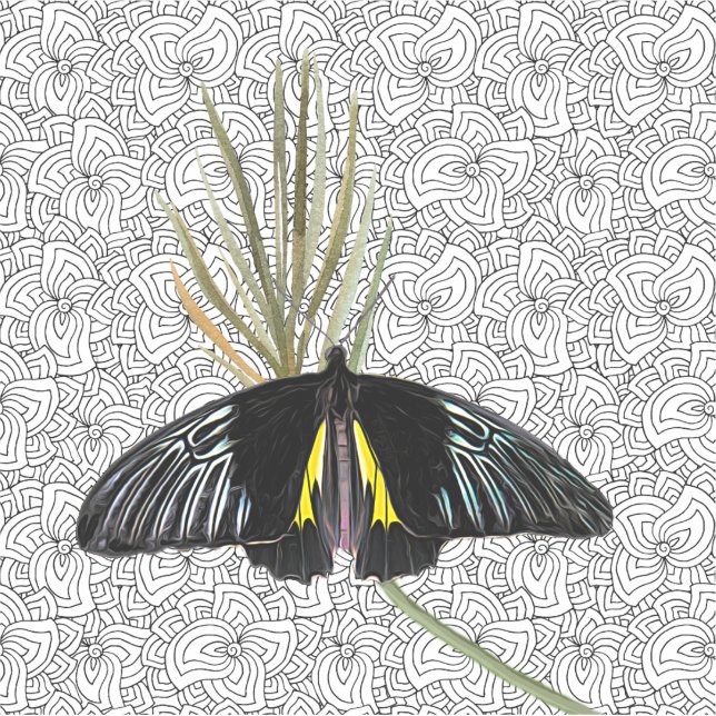 Pegatina de vinilo con mariposa y fondo BW (Anverso)