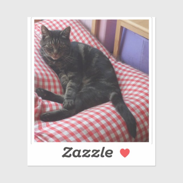 Pegatina de vinilo de corte de Personalizado (Hoja)