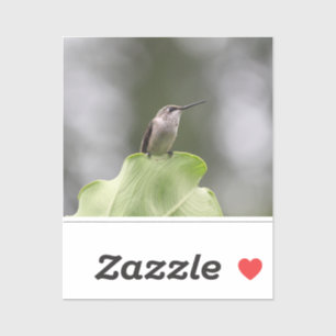 Pegatina de vinilo de corte personalizado