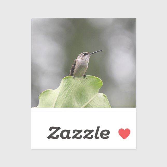 Pegatina de vinilo de corte personalizado (Hoja)