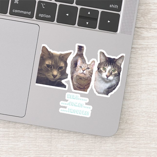 Pegatina de vinilo de corte Personalizado de gatos (Detalle)