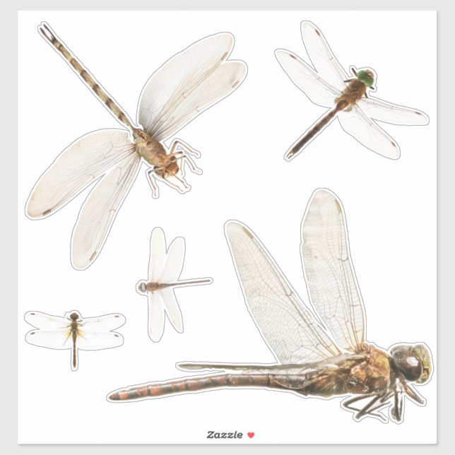 Pegatina de vinilo de corte Personalizado de libél (Hoja)