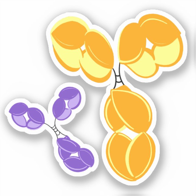 Pegatina de vinilo - IgG amarillo (anticuerpo) con (Anverso)