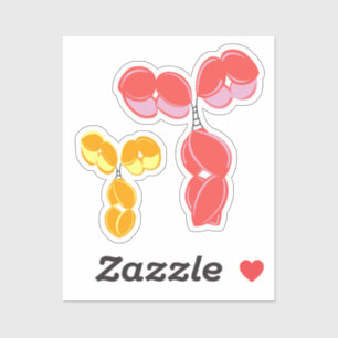 Pegatina de vinilo - IgG rojo (anticuerpo) con bon